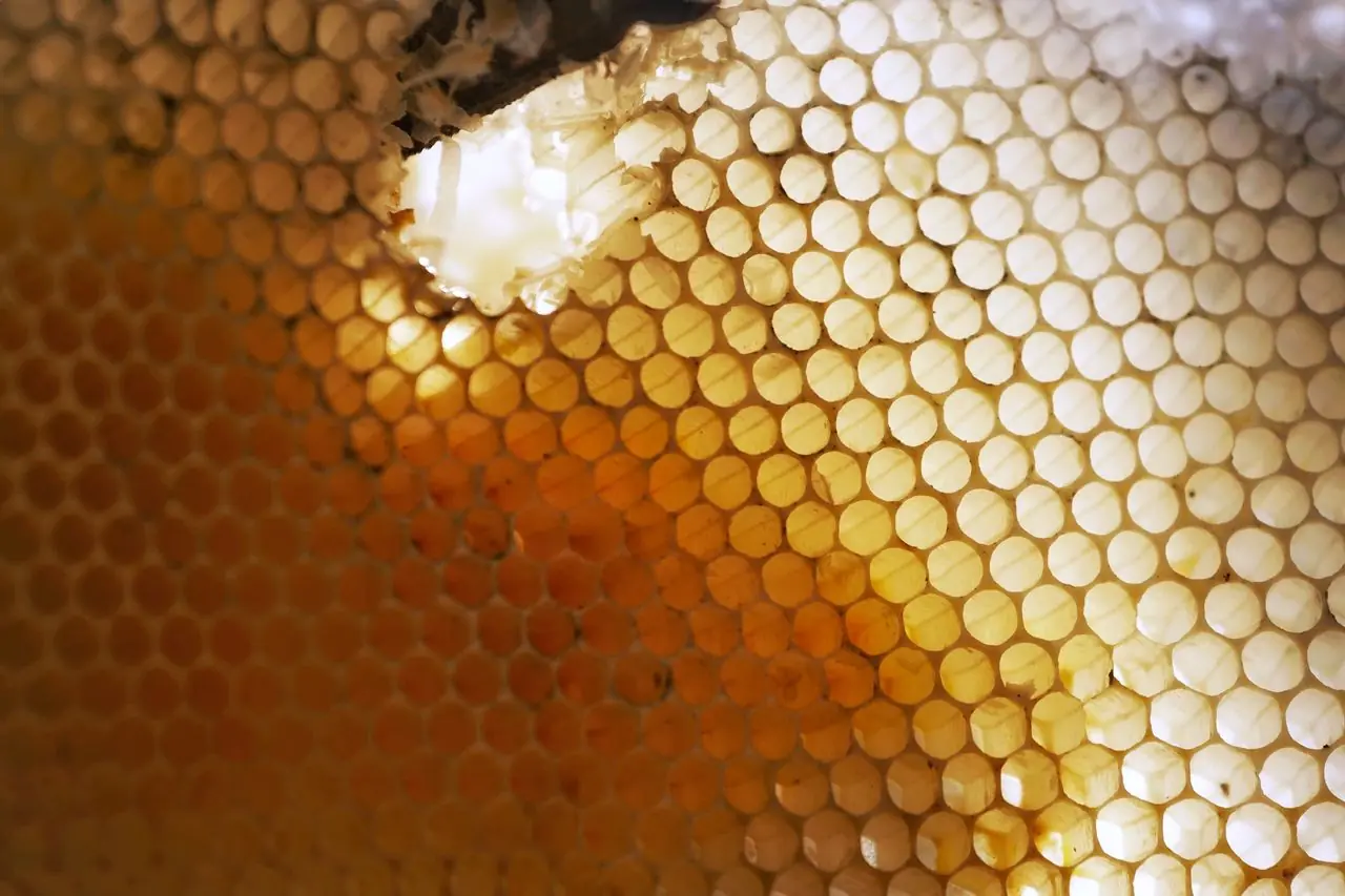 Honeycomb wax macro texture showing aerated pore structure